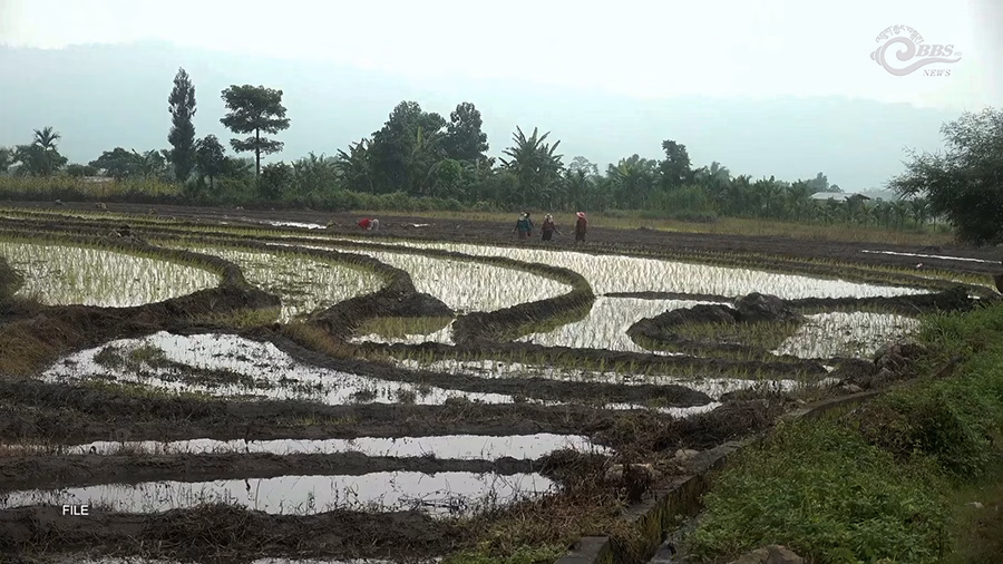 Lush agricultural fields in Bhutan