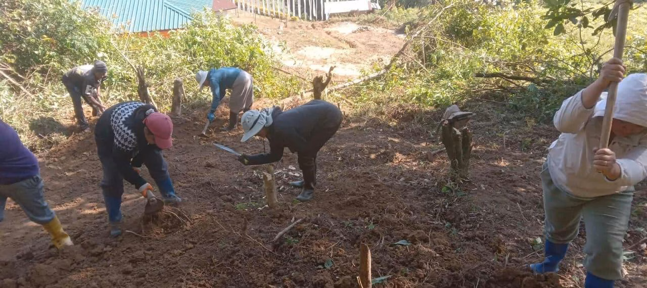 Abandoned Dogak School transformed into farming project