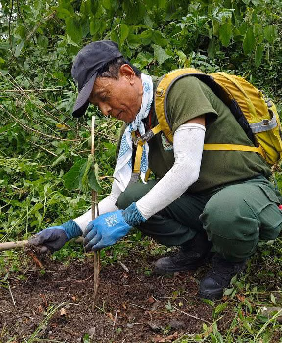 Rangers clearing invasive species at the site
