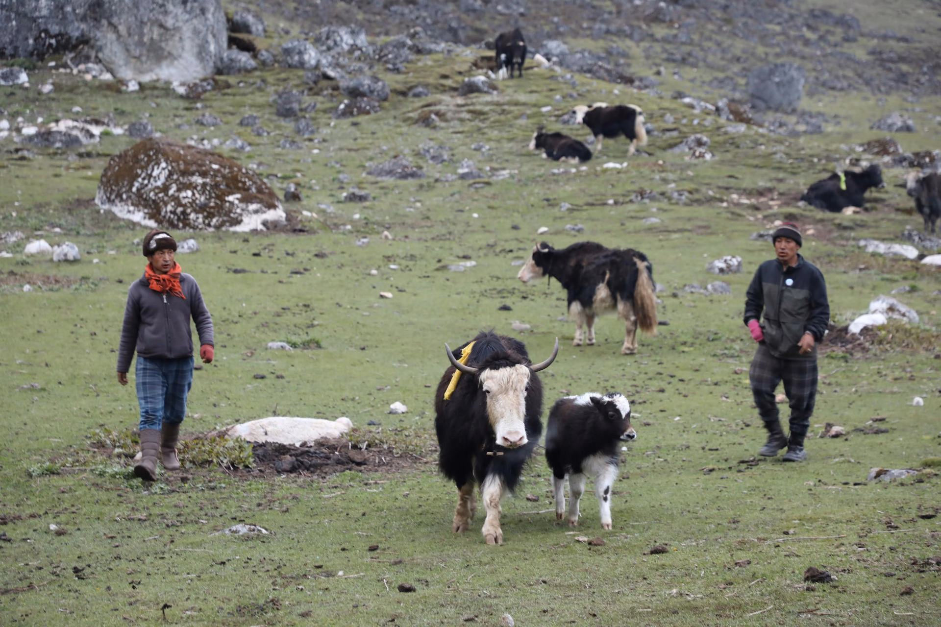 Empowered Women of Nubri