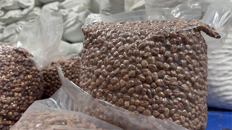 Processing plant machinery setup