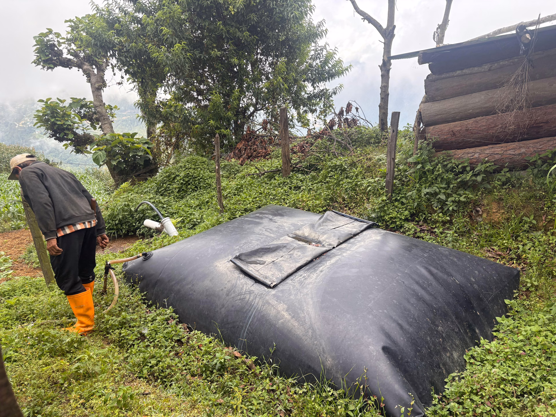 Fertilizer production from biogas
