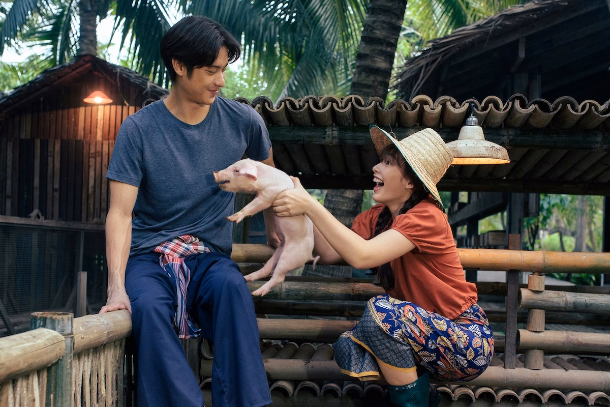 My Love in the Countryside cover image