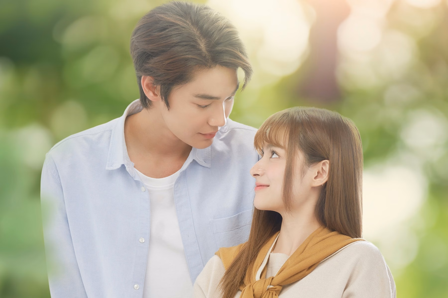 A Love So Beautiful cover image