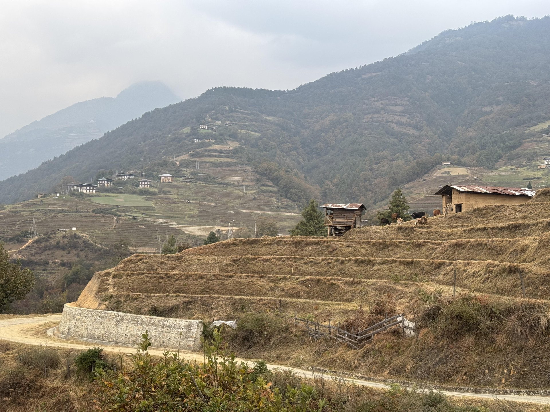 Road construction progress in Nubi Gewog