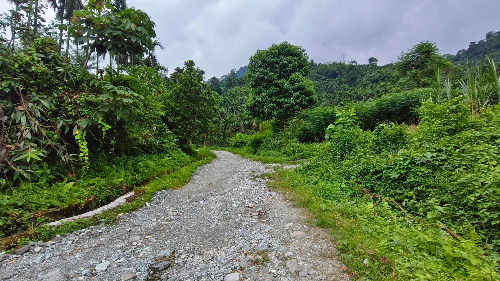 Tading-Phuentshopelri road showing poor road conditions and maintenance challenges