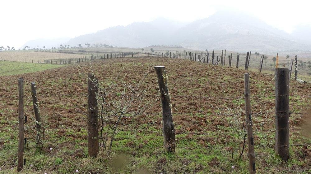 Unutilized greenhouses at the WOW farm