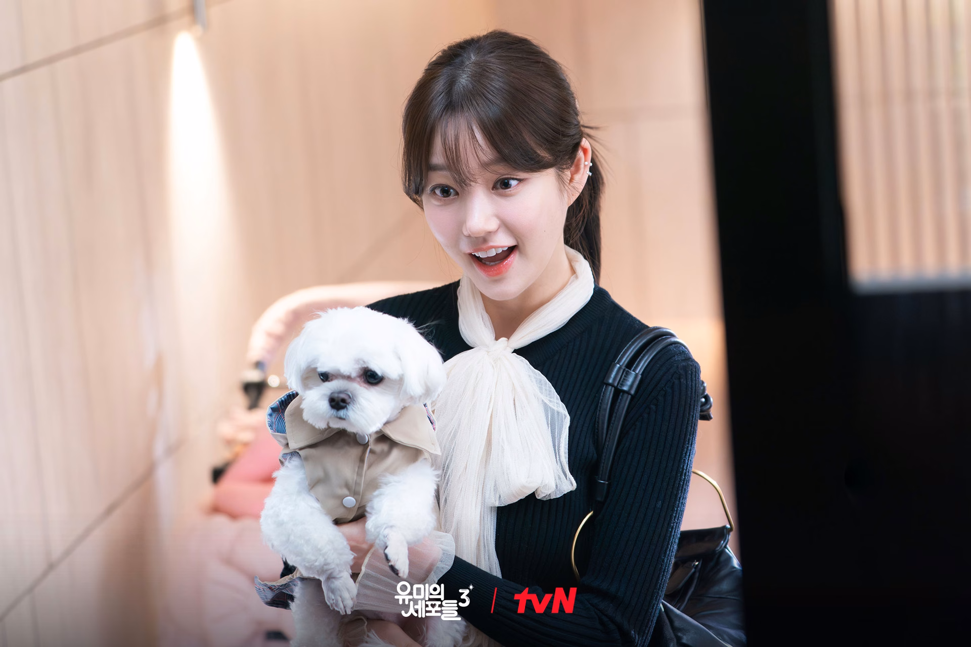 Chansung as Yoon PD in Yumi's Cells 3