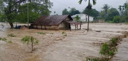 Flood in Southeast Aceh Regency Sumatra