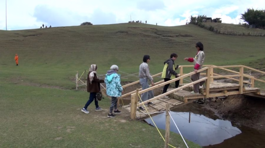 Rhododendron Festival Celebration